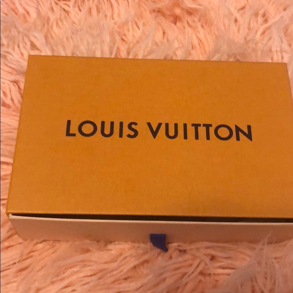 Louis Vuitton clutch dust bag and box